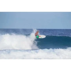 Torq Surfboard Wellenreiter TET Fish Pinlines (co) -Torq Verkaufsgeschäft 19962 4 8 jpg