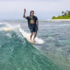 Surfboard TORQ TEC Delpero Classic 9.2 Weiss 14 Surfboard TORQ TEC Delpero Classic 9.2 Weiss -Torq Verkaufsgeschäft surfboard torq tec delpero classic 92 weiss4